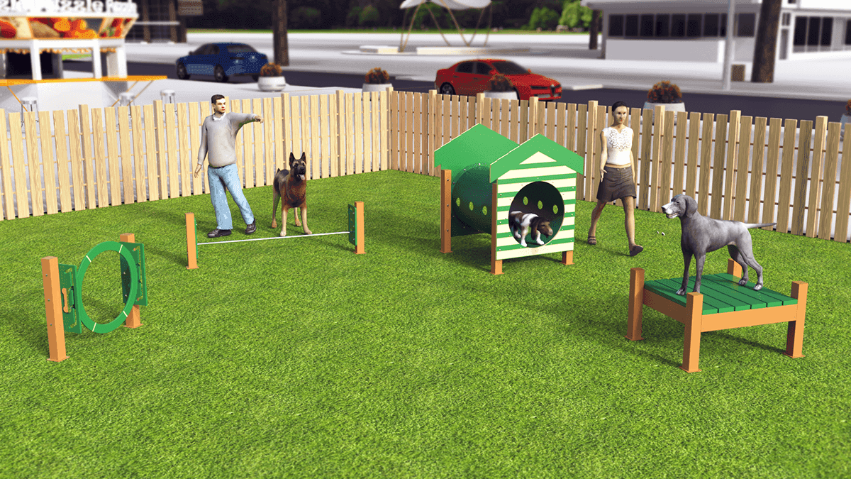 Recycled Novice Agility Course