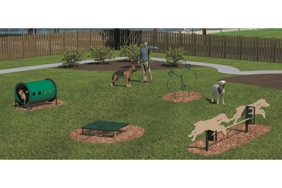 Novice Agility Course