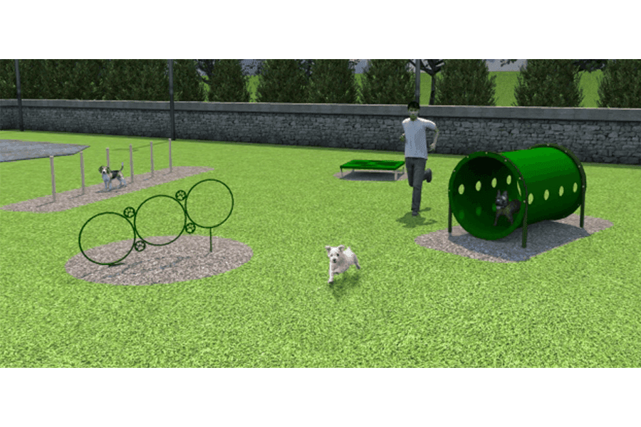 Small Dog Agility Course
