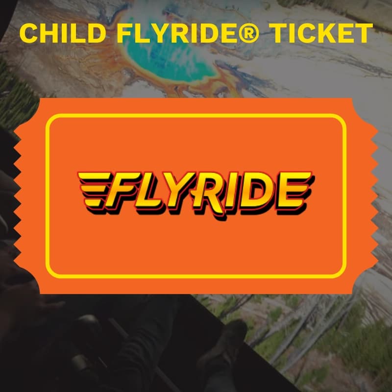 FlyRide Child (Ages 3-12)