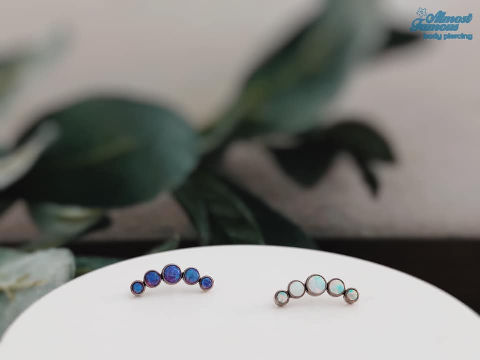 5 Bezel Push In Top (REPTPIDESIGN-5BEZEL)