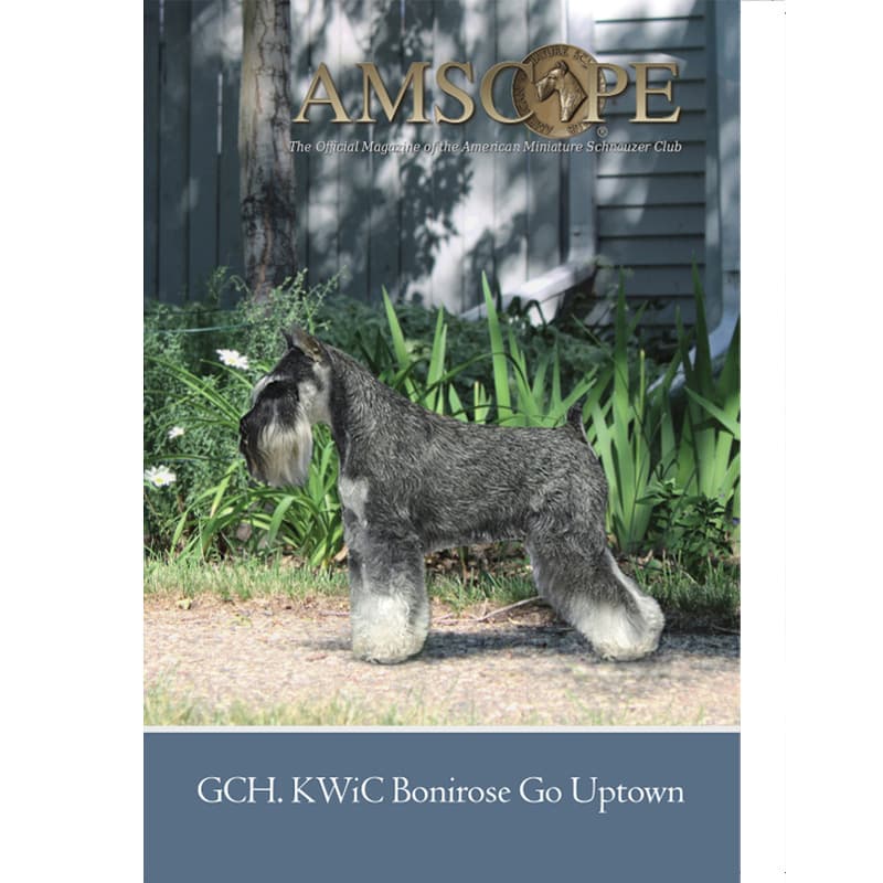 2021 – AMSC Magazines