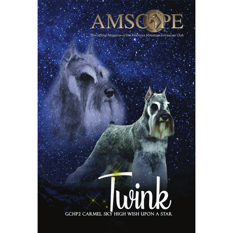 AMSCOPE Quarterly Magazine Subscription