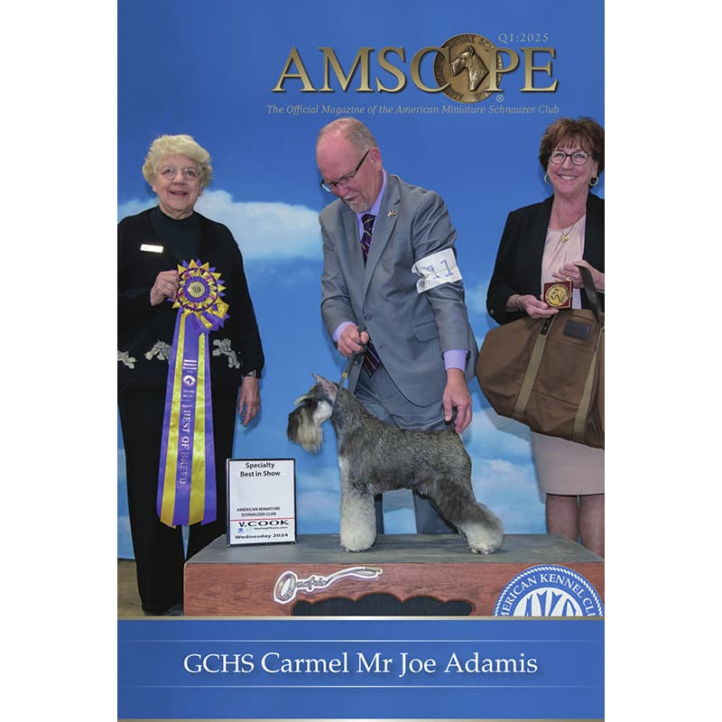 2025 – AMSC Magazines