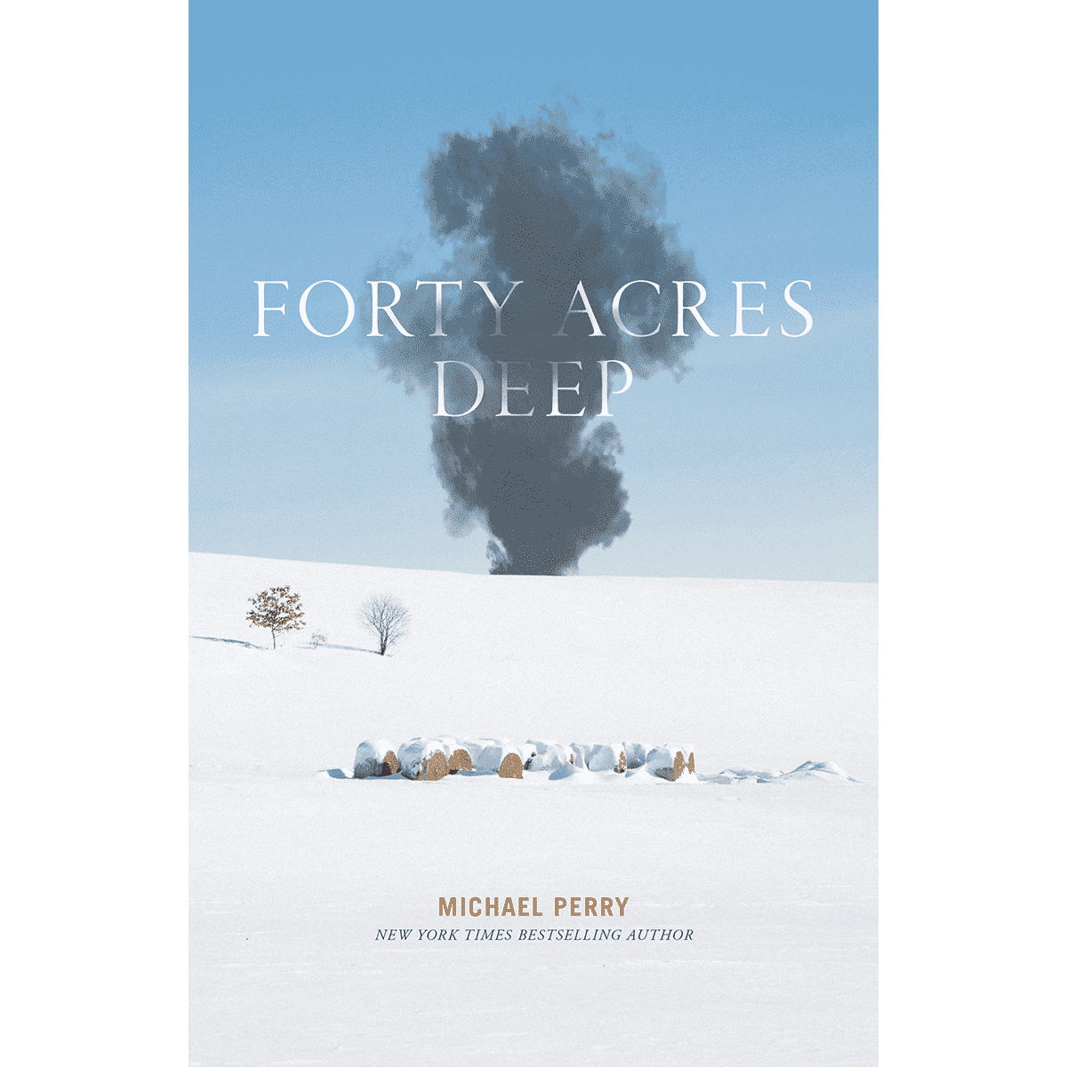 Forty Acres Deep by Michael Perry
