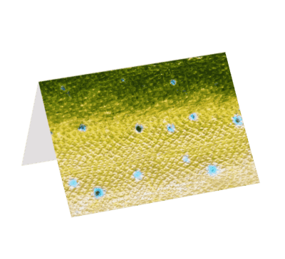 Mahi Mahi (Greeting Card)