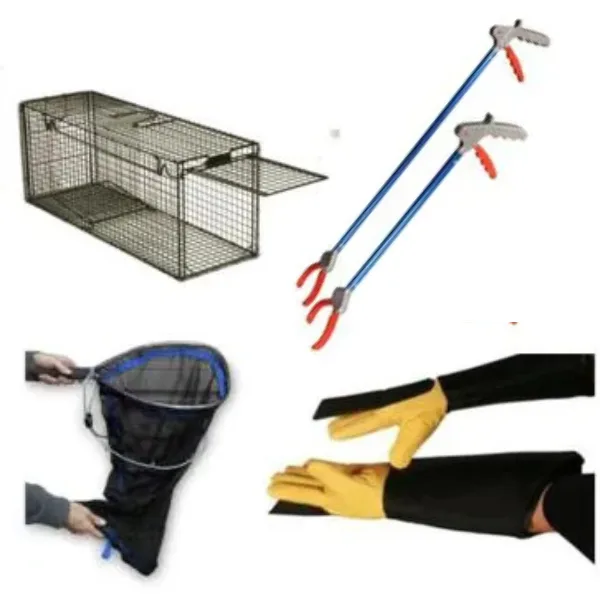Wildlife Start-Up Kit