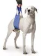 Soft Quick Lift Sling