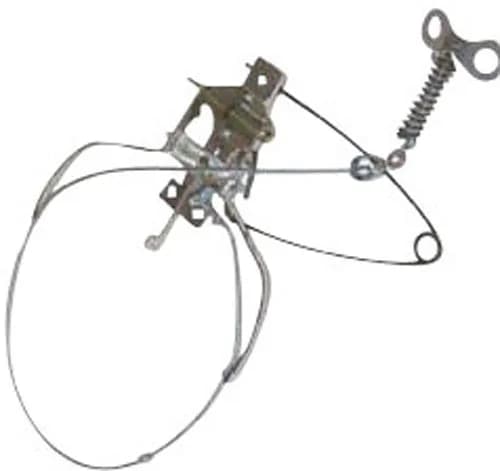 Collarum