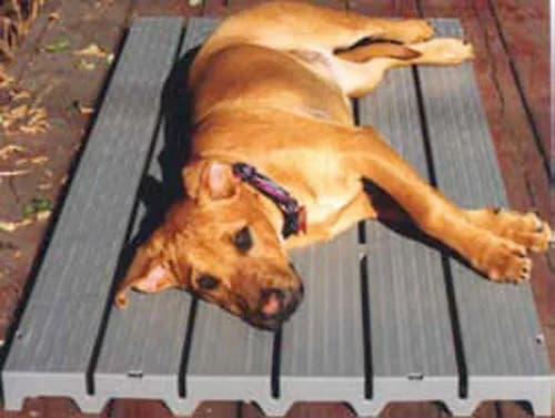Kennel Deck