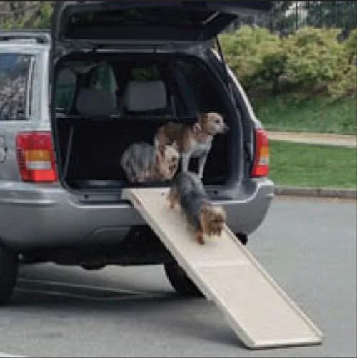 PetStep Ramp