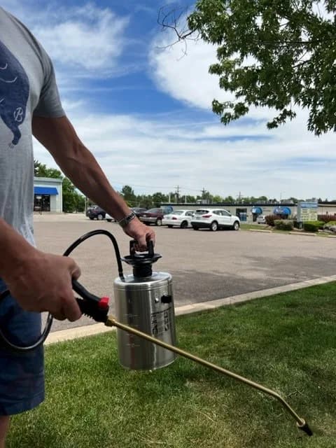 Pump-Up Sprayer