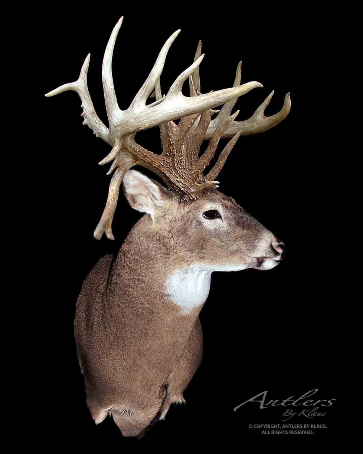 Crawford Buck