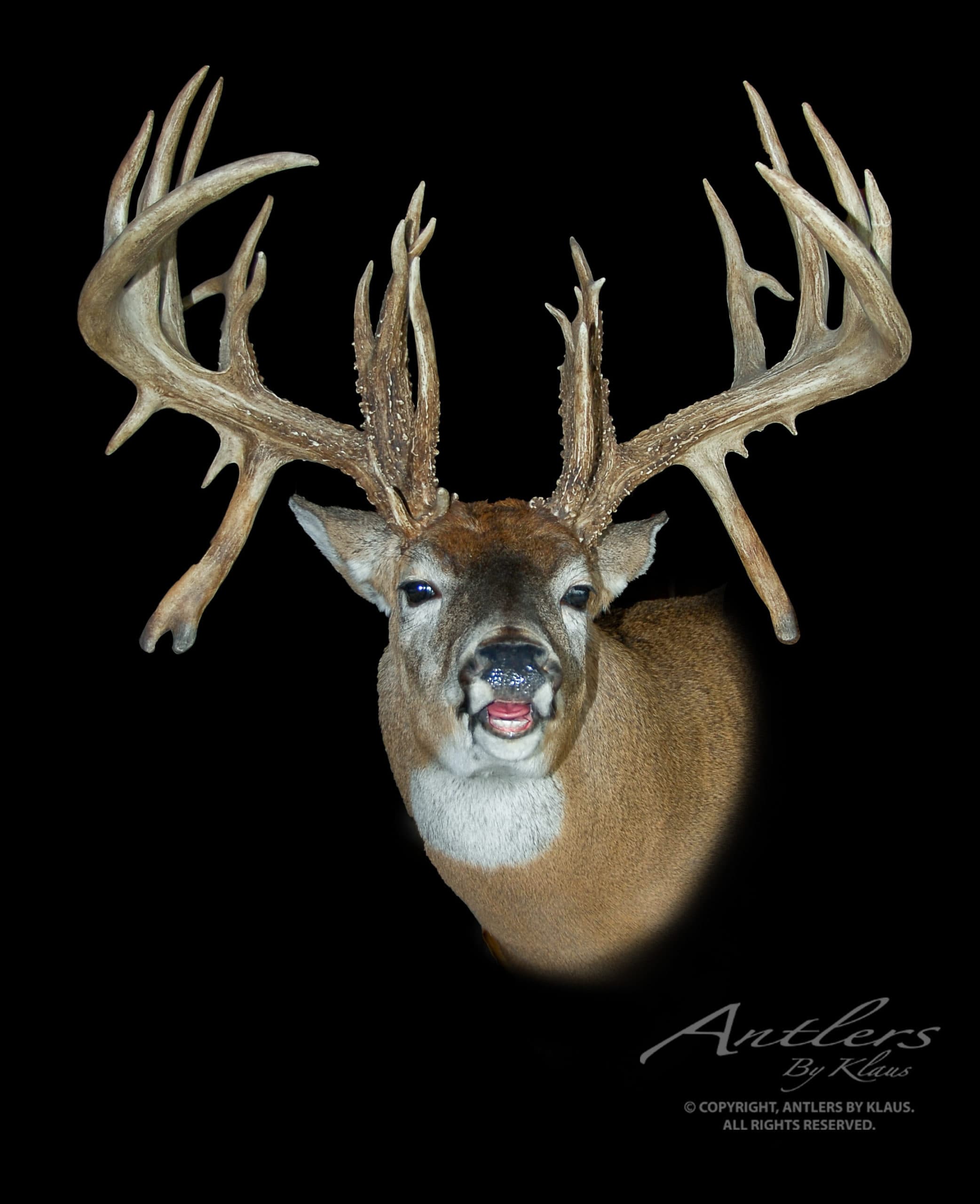 Crawford Buck - thumbnail 2