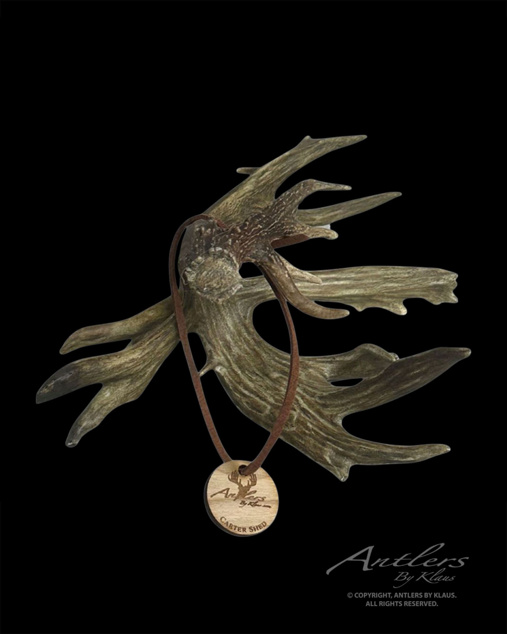 Carter Shed Miniature