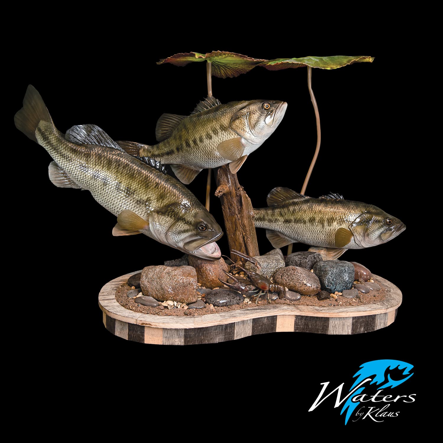 Large Lilypad Fish Display