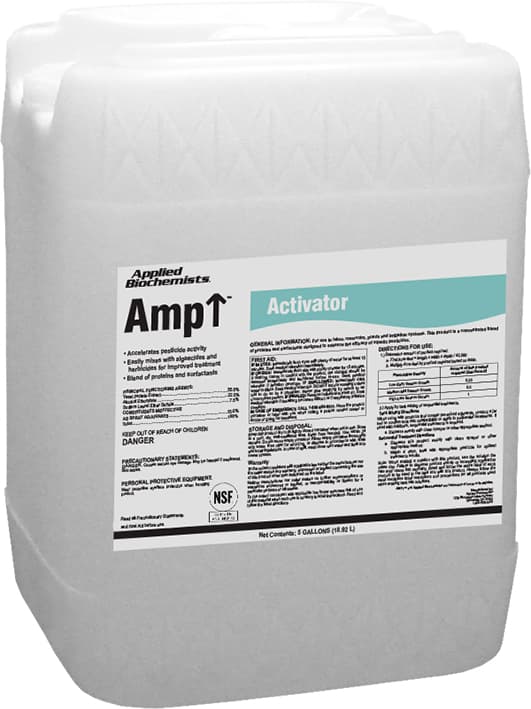 AMP Activator 5 gallon