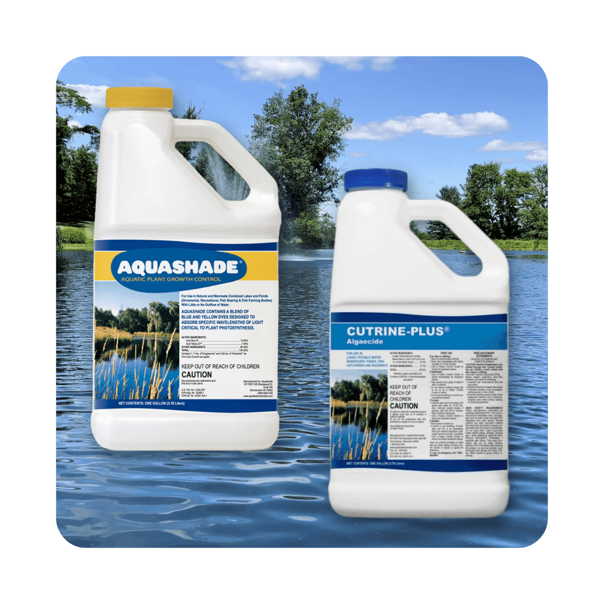 The Ultimate Algae Prevention Solution – Free Shipping