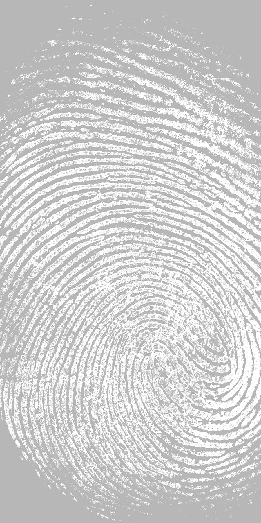 Clue 2 Frosted (Sample)
