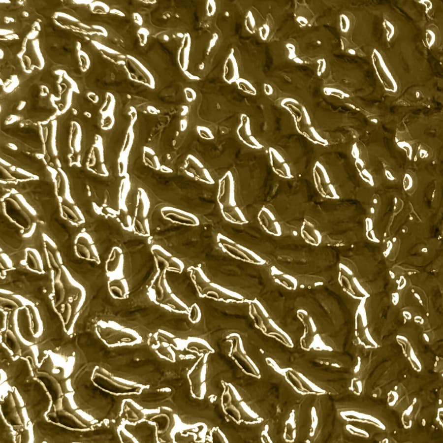 Polished Brass Ocean 914 OCEAN (Sample)