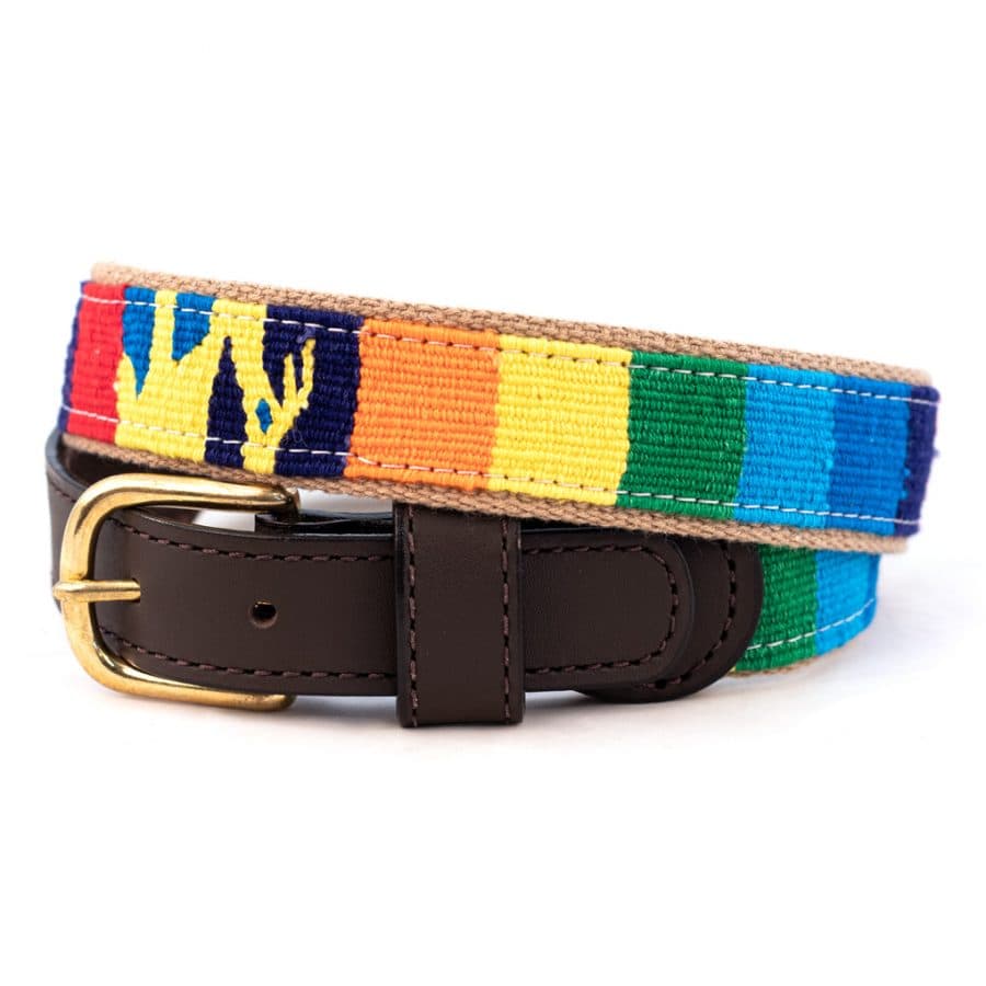 a tail we could wag Cotton and Leather Belt – Fiesta