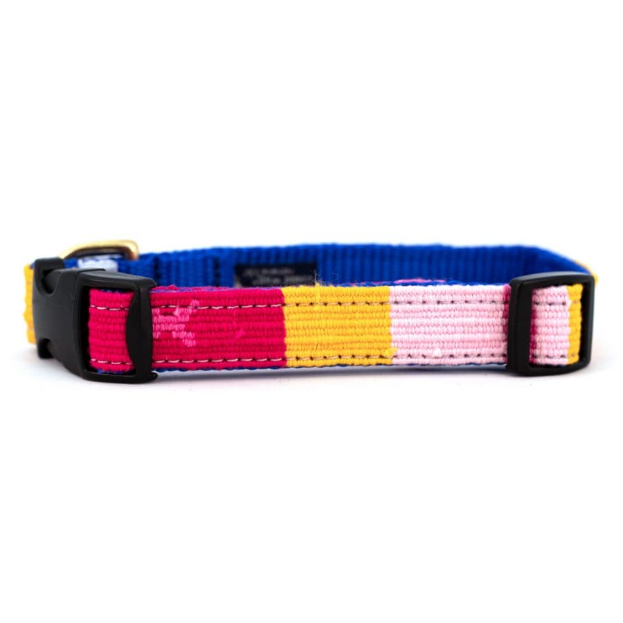 a tail we could wag Side-Release Dog Collar – Starry Day - thumbnail 2