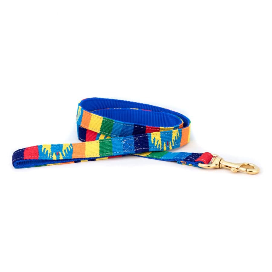a tail we could wag Leash – Fiesta