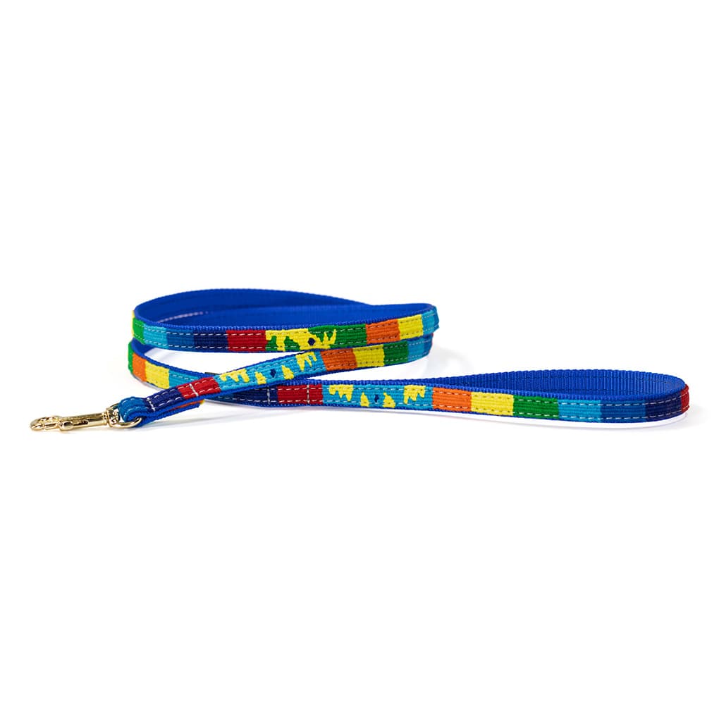 a tail we could wag Leash – Fiesta - thumbnail 2
