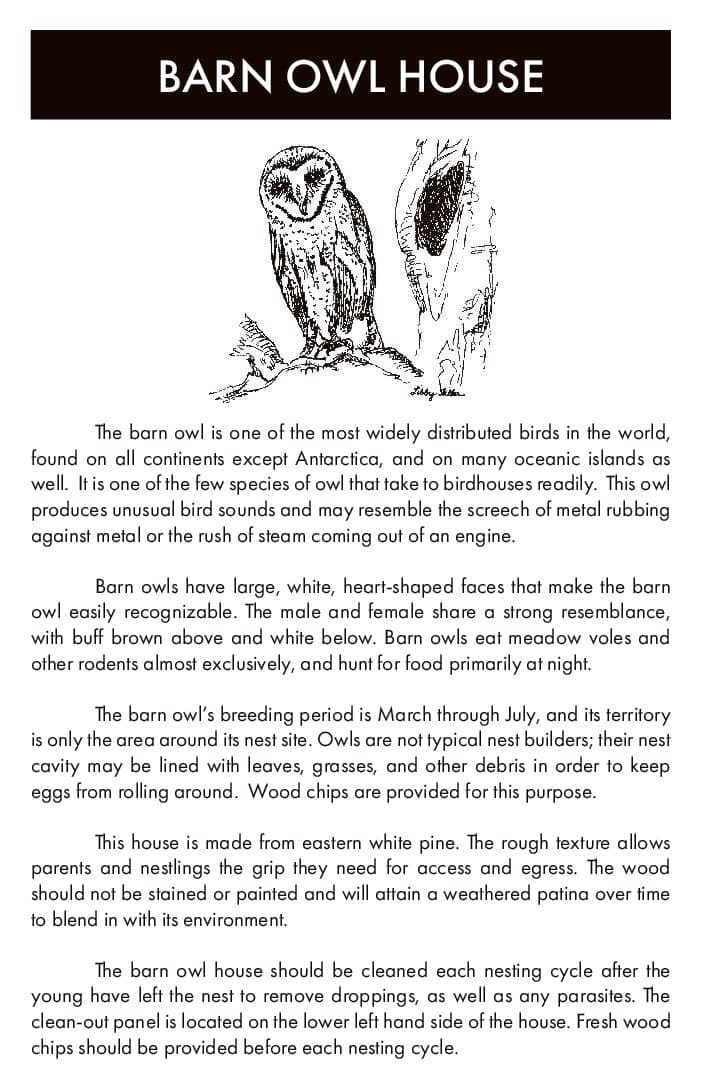 Barn Owl House - thumbnail 8