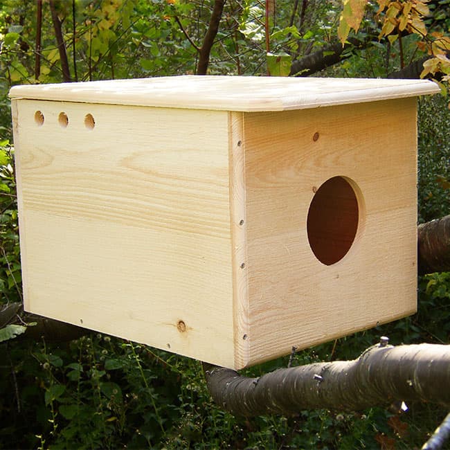 Barn Owl House