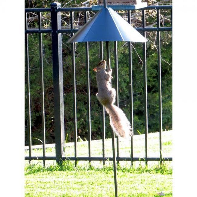 14″ Squirrel Defeater Snap-On Pole Baffle