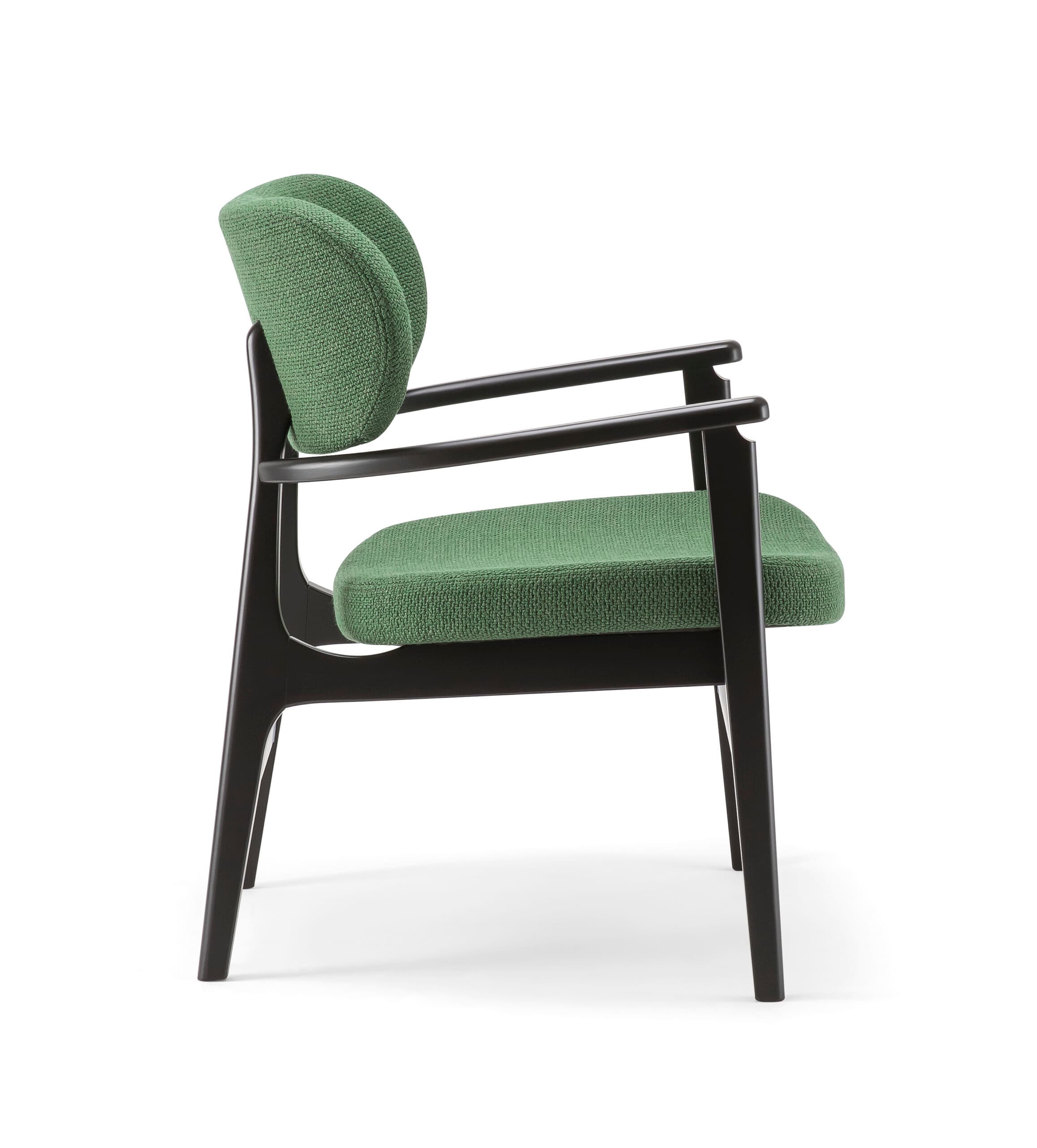 Ana Lounge Chair - thumbnail 4