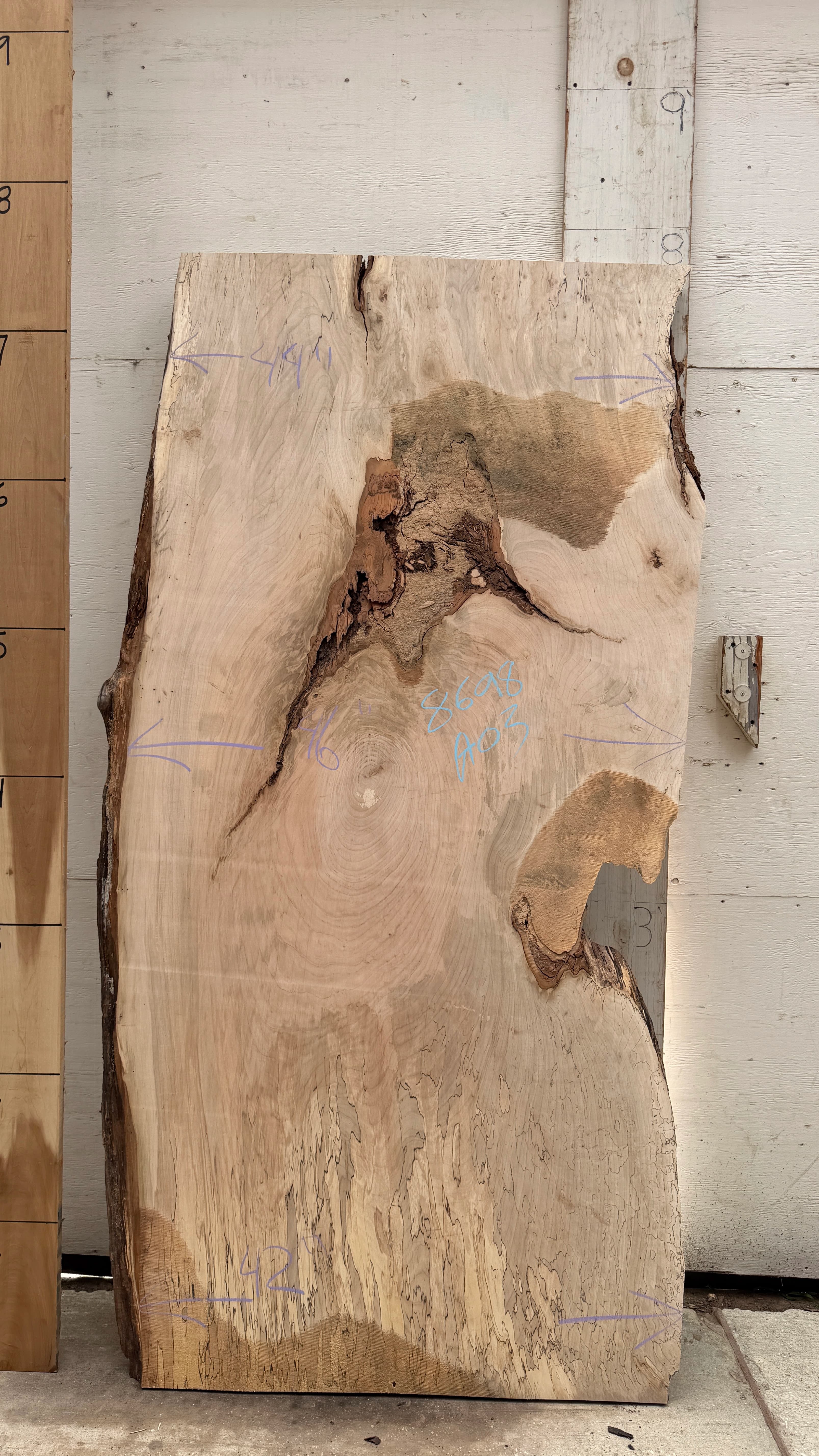 8698a03 - thumbnail 2