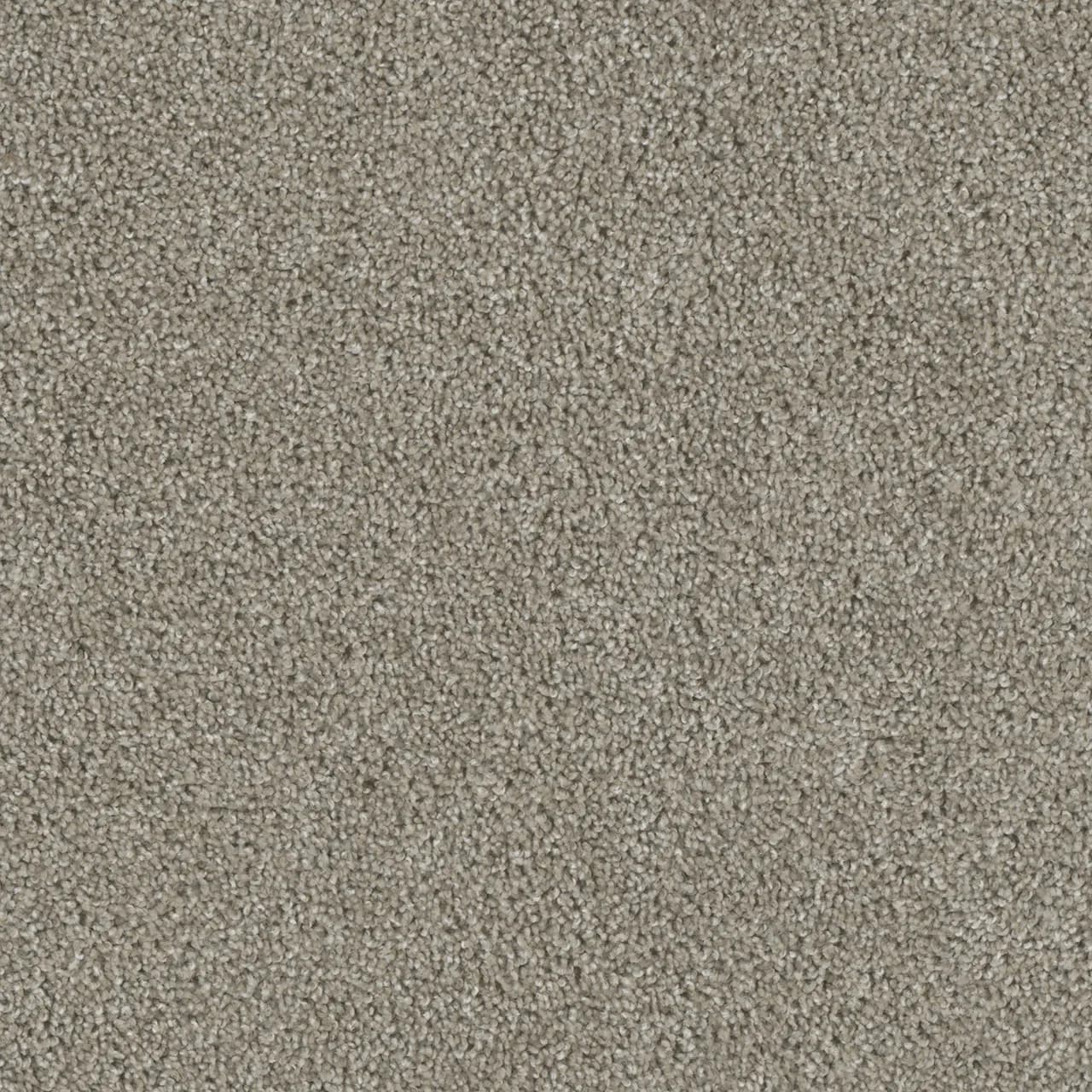 Artisan – Vela