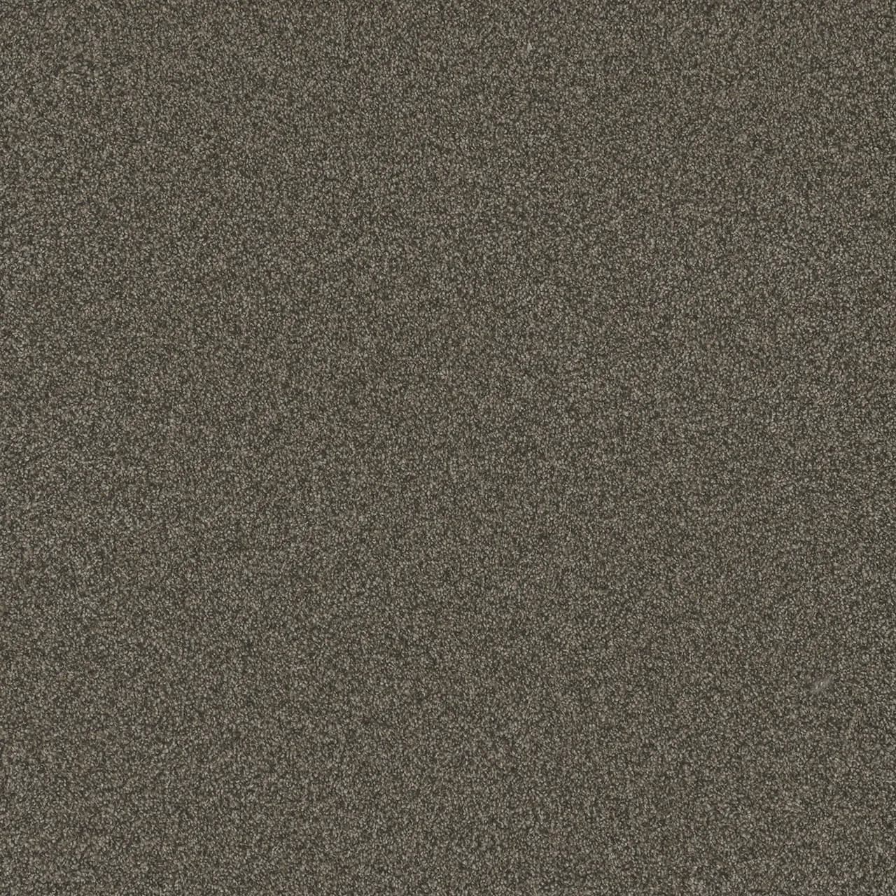 Blazer I – French Roast
