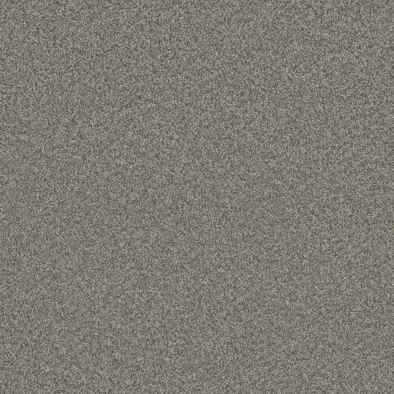 Blazer I – Dogwood