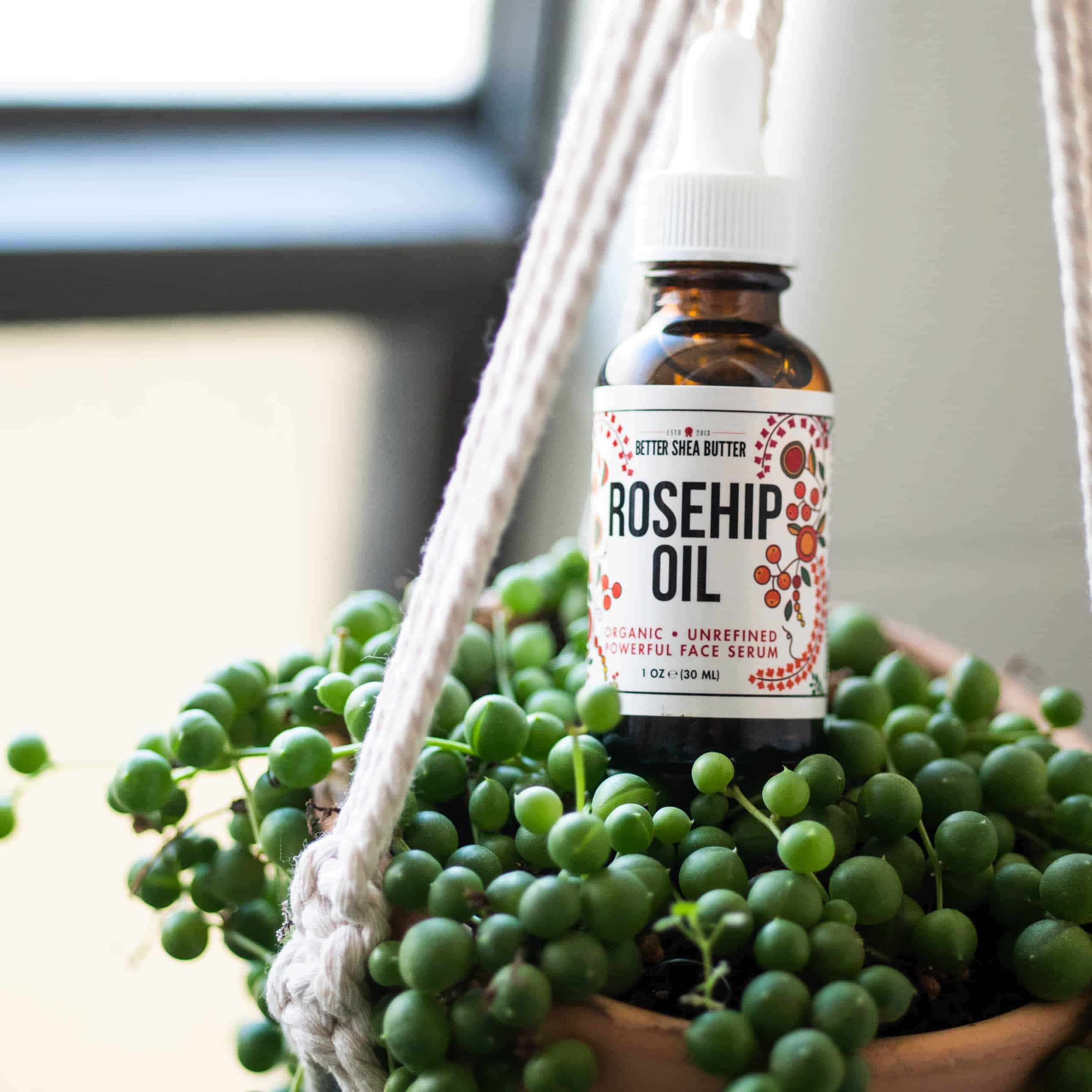 Organic Rosehip Oil - thumbnail 6