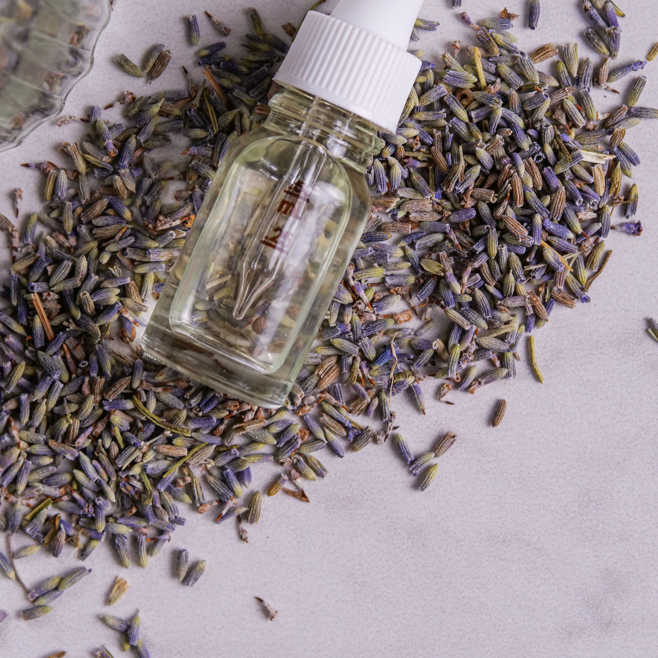 Dried Lavender Flowers - thumbnail 5