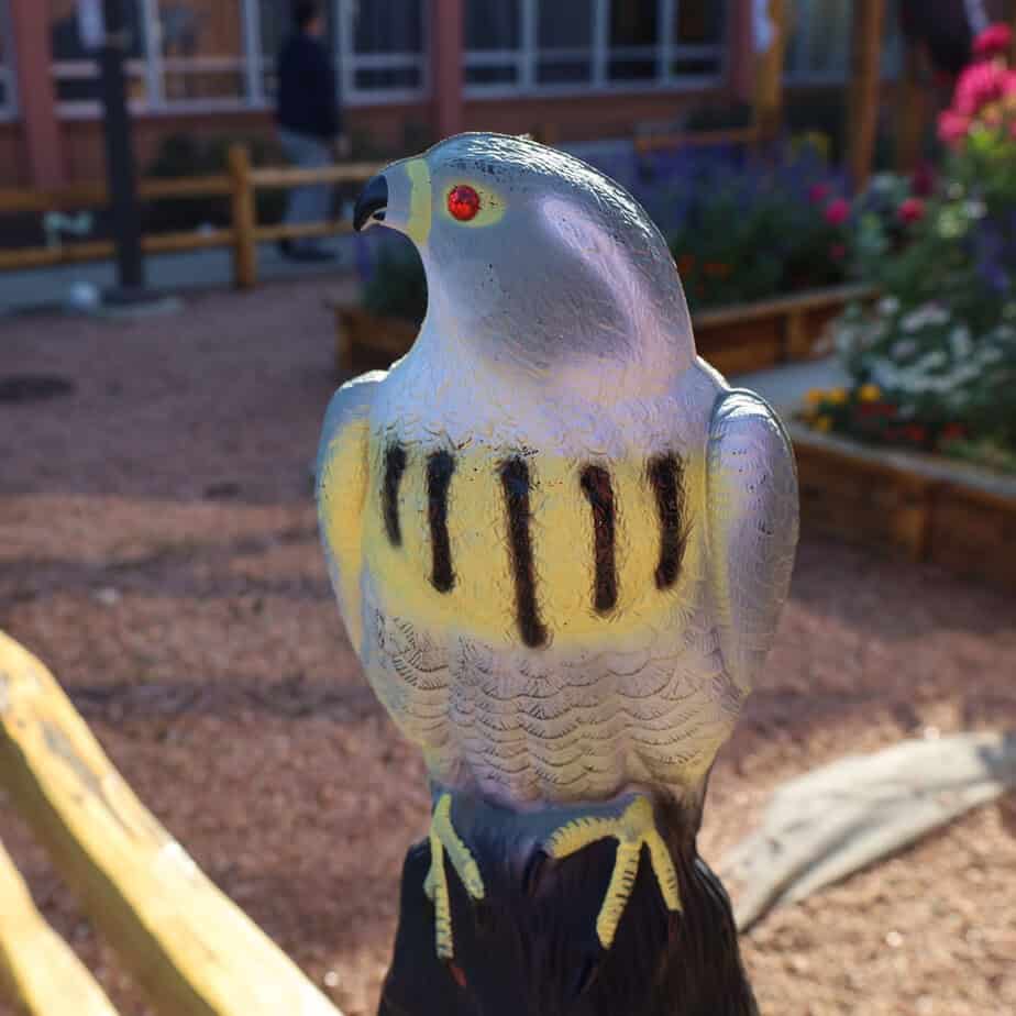 Falcon Decoy - thumbnail 6