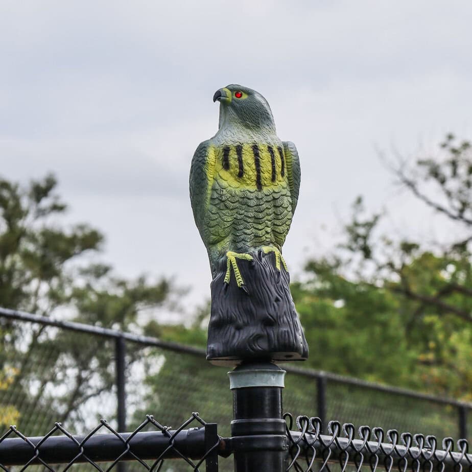Falcon Decoy - thumbnail 4