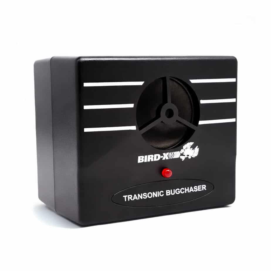 Transonic Bugchaser