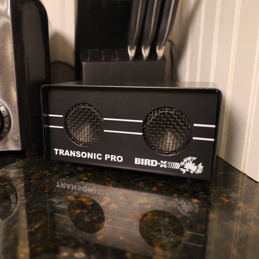 Transonic Pro - thumbnail 6