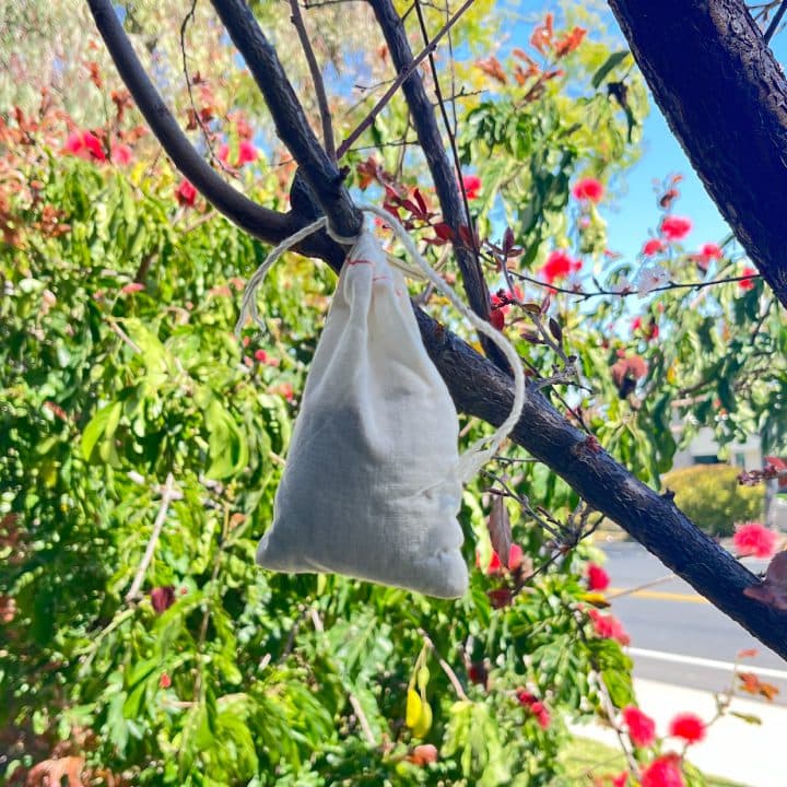 BD-135: Open Air Bird Repellent (6-Pack) - thumbnail 3