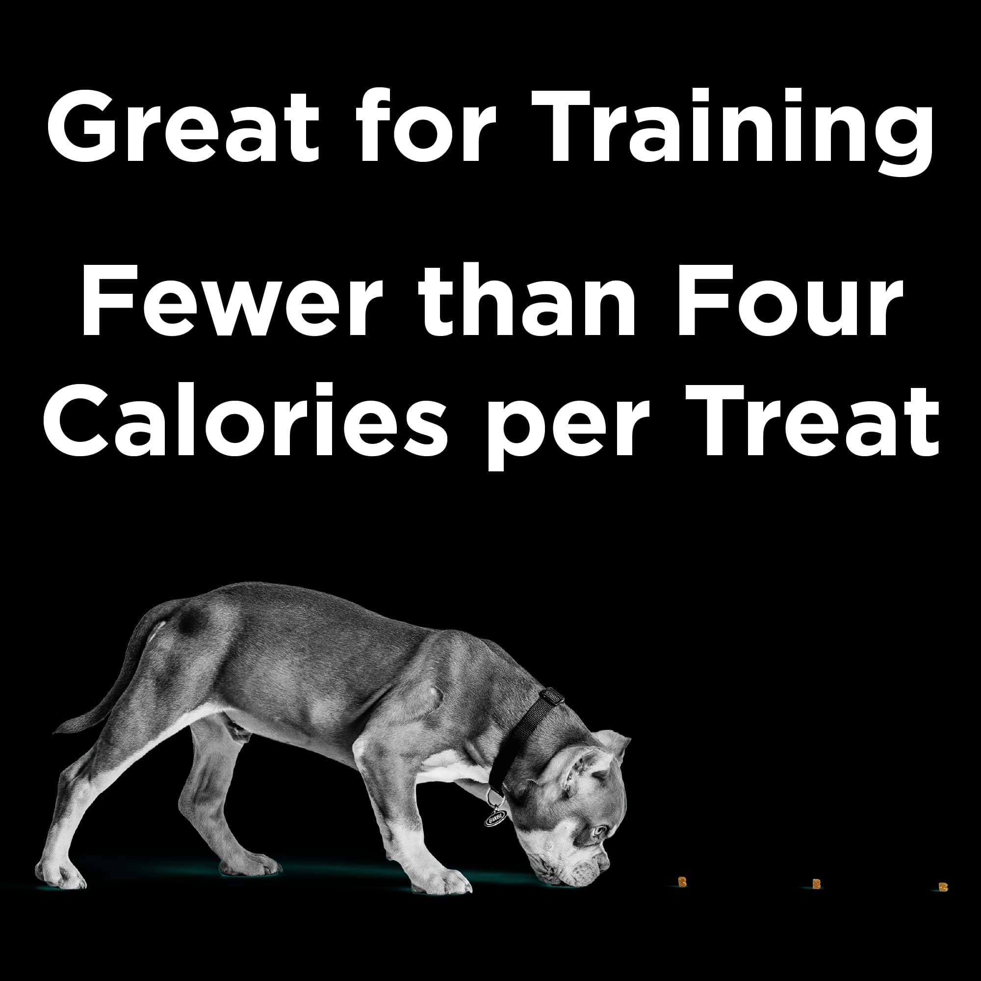 BIXBI® Pocket Trainers® for Dogs – Peanut Butter Recipe - thumbnail 2