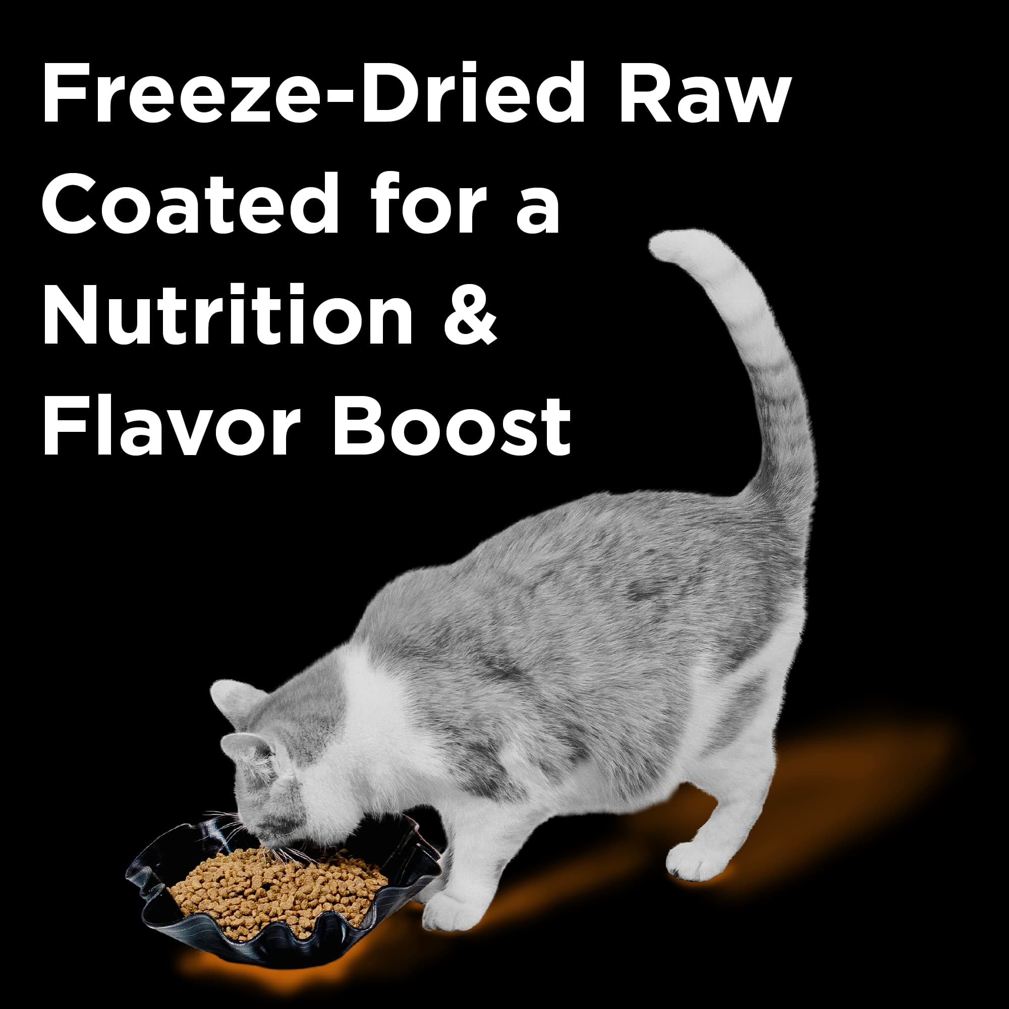 Rawbble® Dry Food for Cats – Chicken Recipe - thumbnail 2