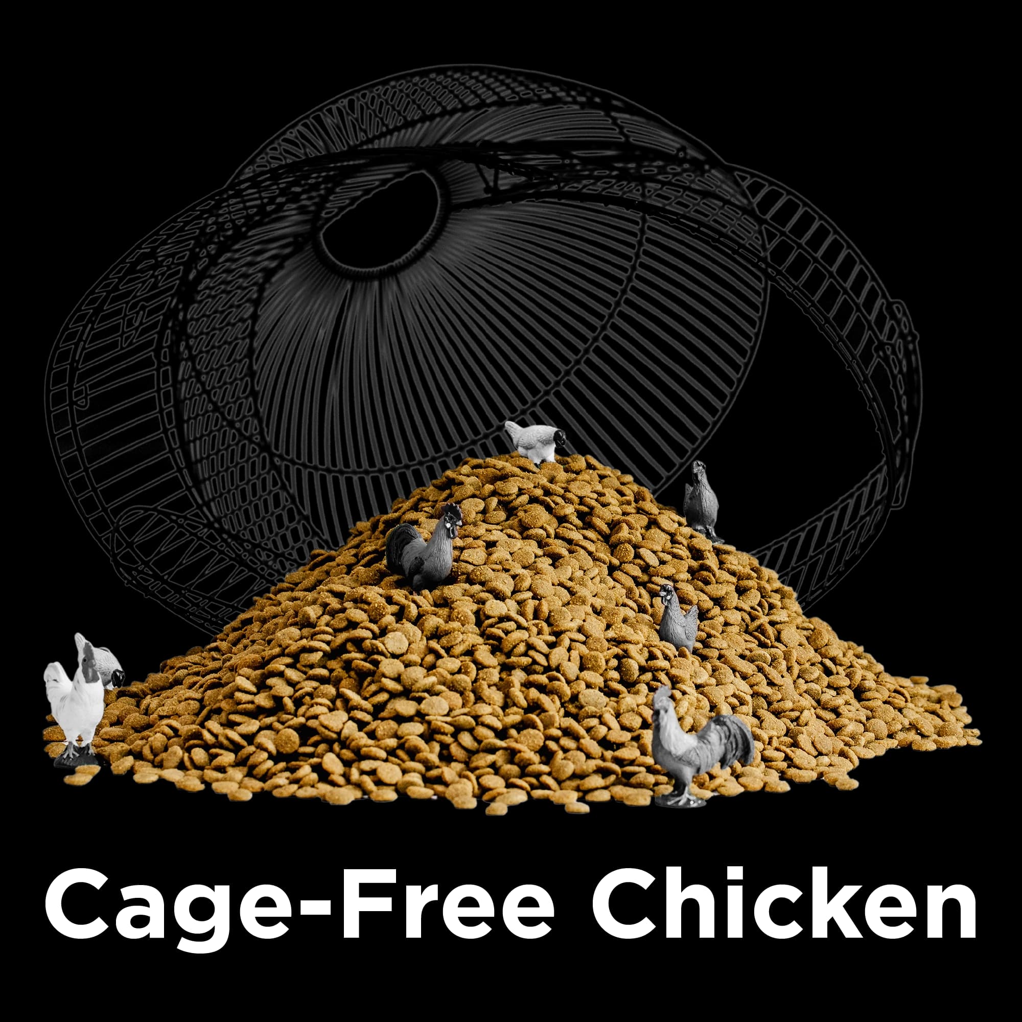 Rawbble® Dry Food for Cats – Chicken Recipe - thumbnail 5