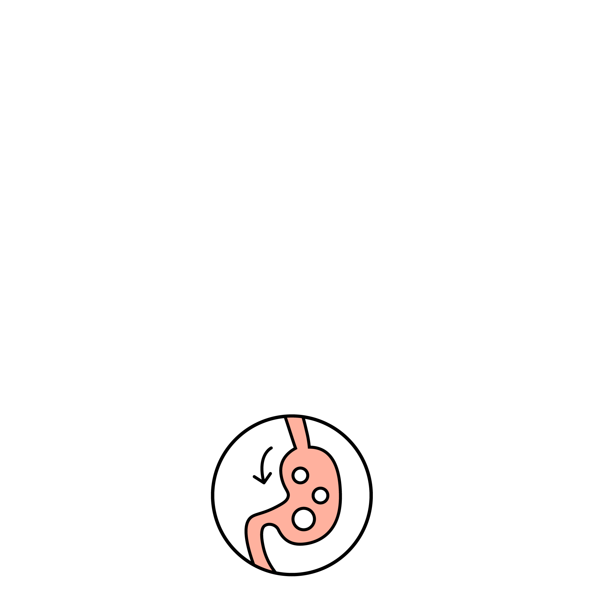 Rawbble® Dry Food for Dogs – Beef Recipe - thumbnail 4