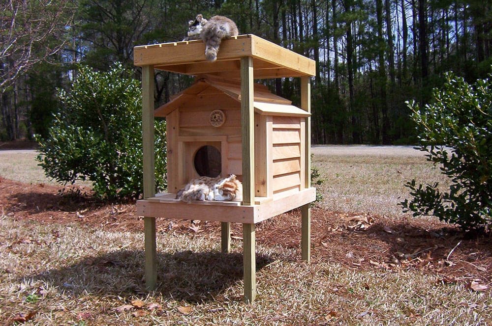 17” Cat House with Platform and Loft