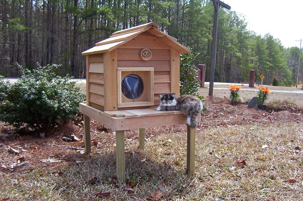 17” Cat House with Platform