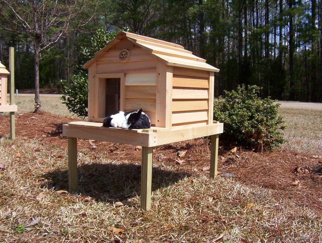 20” Cat House - thumbnail 3